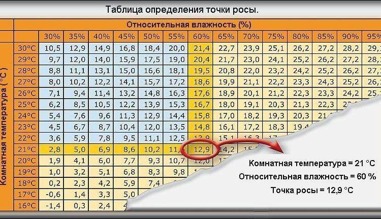 Сырость и плесень, грибок.